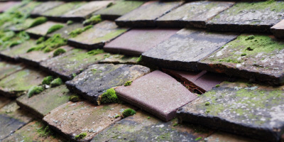 Frampton Mansell roof repair costs